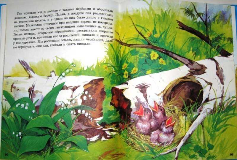 Этажи леса - пришвин м.м. рассказ про маленьких синичек.