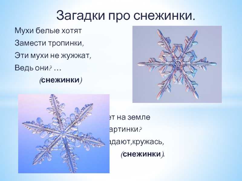 Загадки про снег и снежинки с ответами - я happy мама