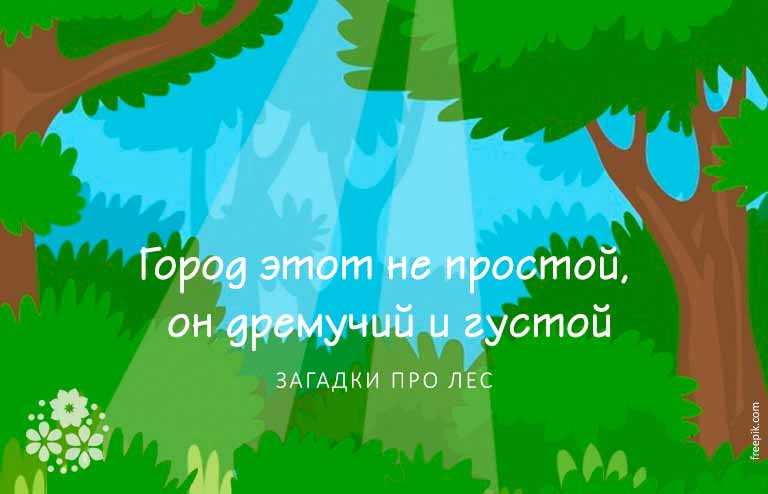 Загадки про лесные деревья, грибы, ягоды с ответами для школьников