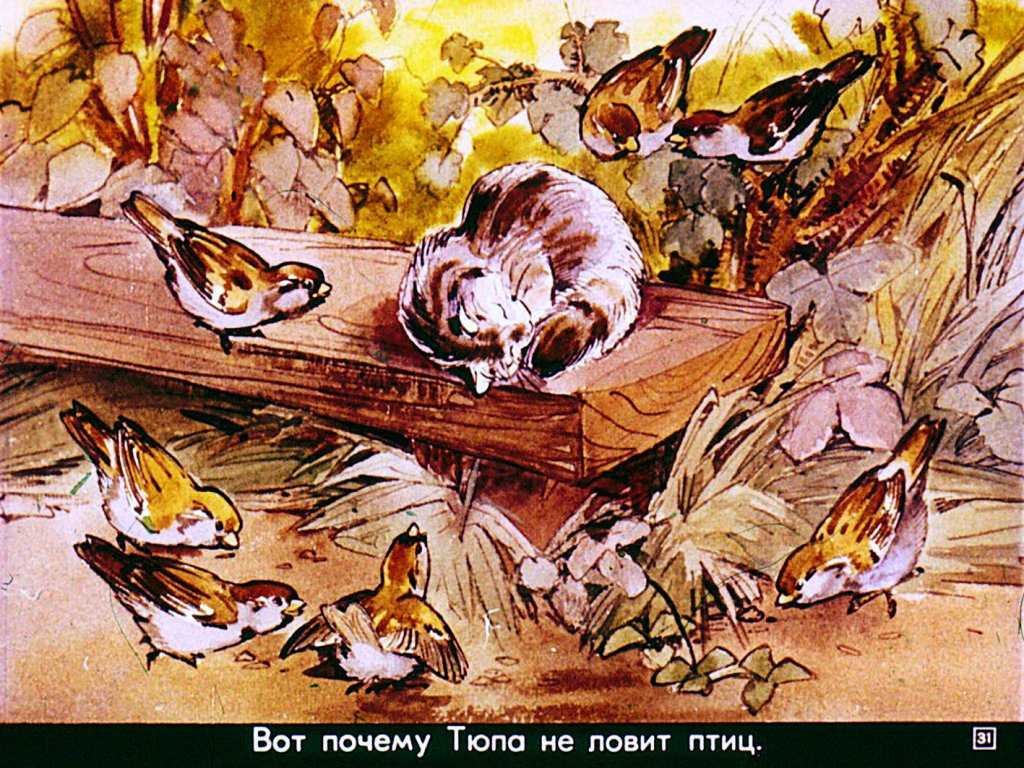 Тюпа, томка и сорока — чарушин е