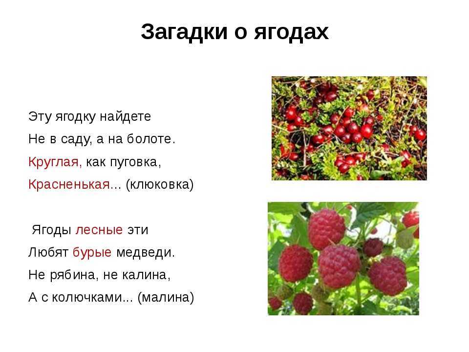 Загадки про ягоды