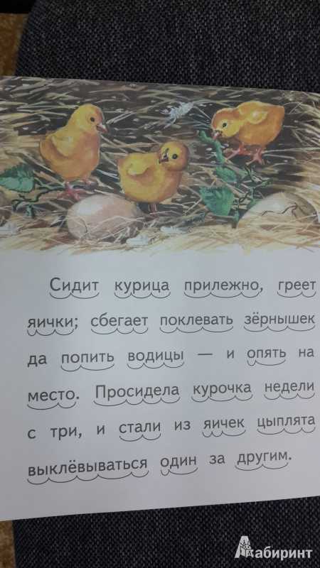 Ушинский константин дмитриевич
