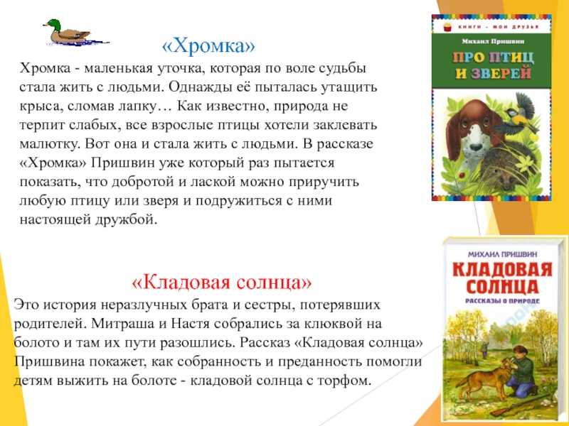 Рассказы пришвина для 1 класса читать короткие распечатать