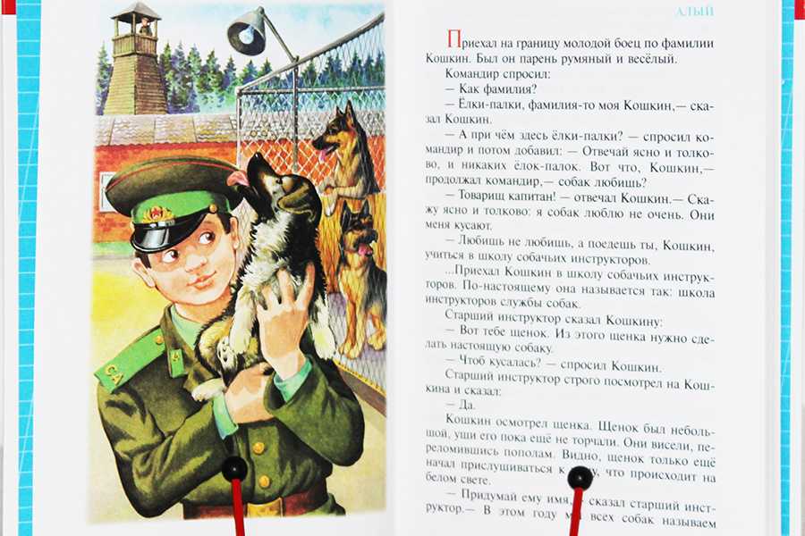 Алый читать онлайн юрий коваль  | knizhnik.org