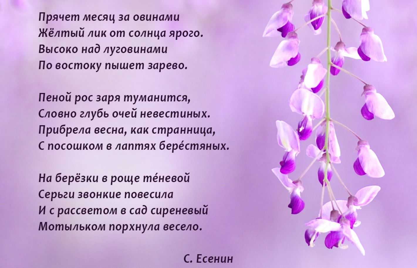 Короткие стихи пушкина – новая русская литература