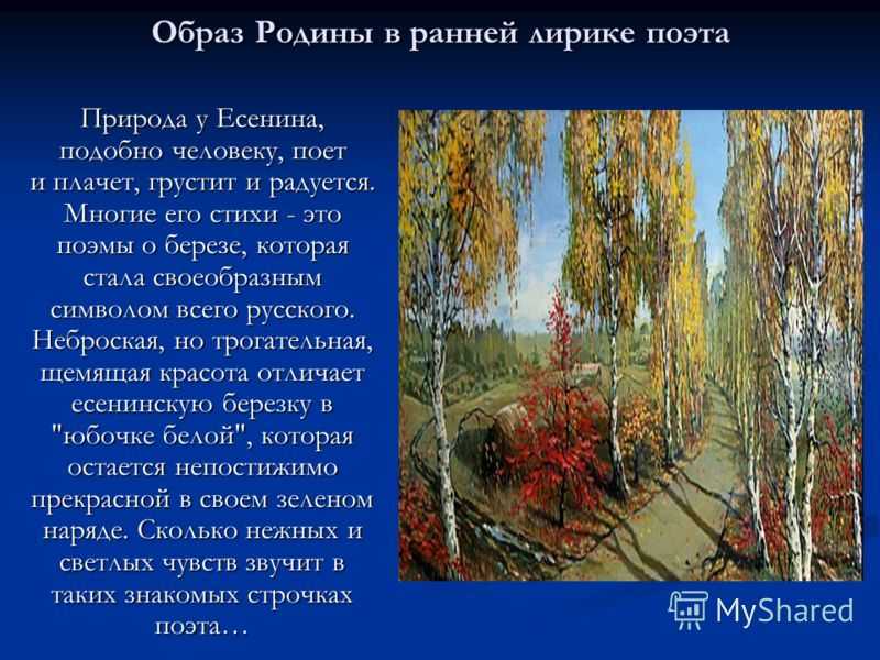 Стихи а. с. пушкина про осень для школьников. тема осени в творчестве пушкина