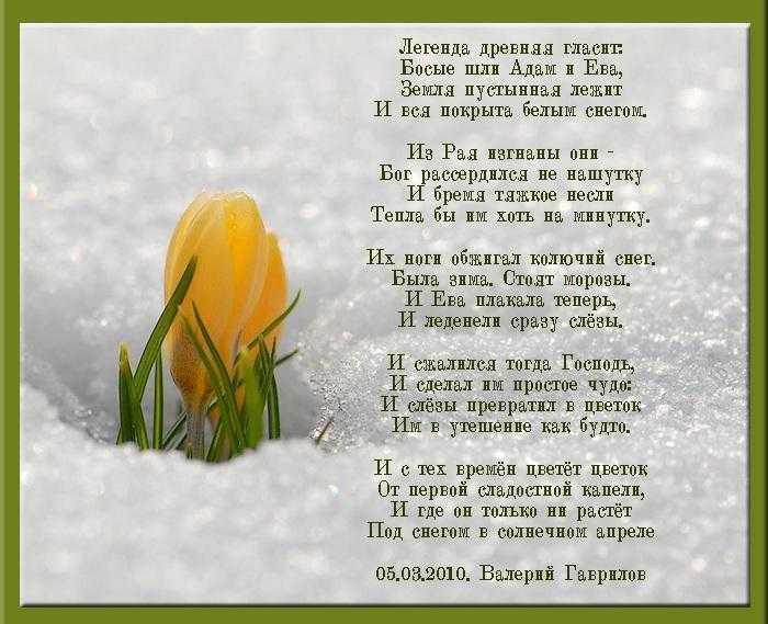 Стихи о весне русских поэтов классиков: 33 лучших – наумёнок