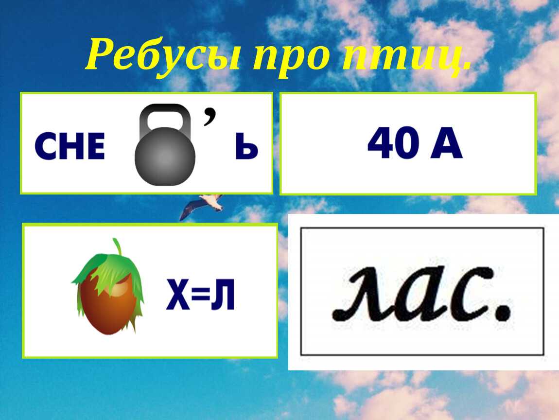 Загадки про ласточку для детей 3-4, 5-6, 6-7 лет и 1-2 класса
