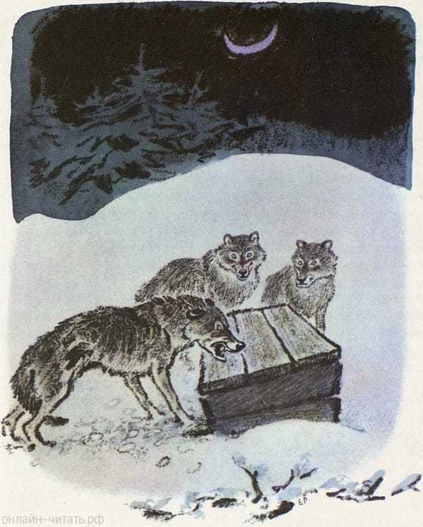 Таинственный ящик скачать epub, fb2 книгу пришвина михаила михайловича, читать онлайн