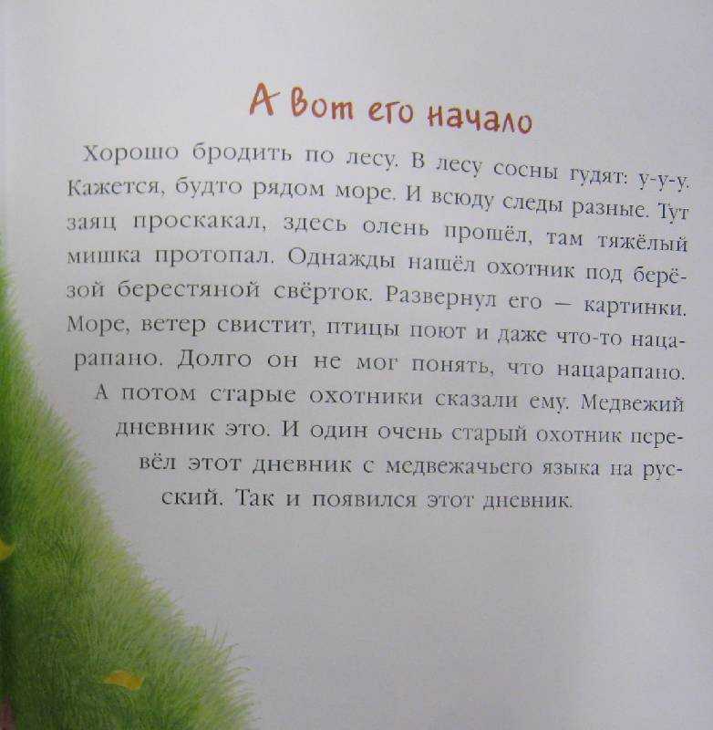 Дневник медвежонка