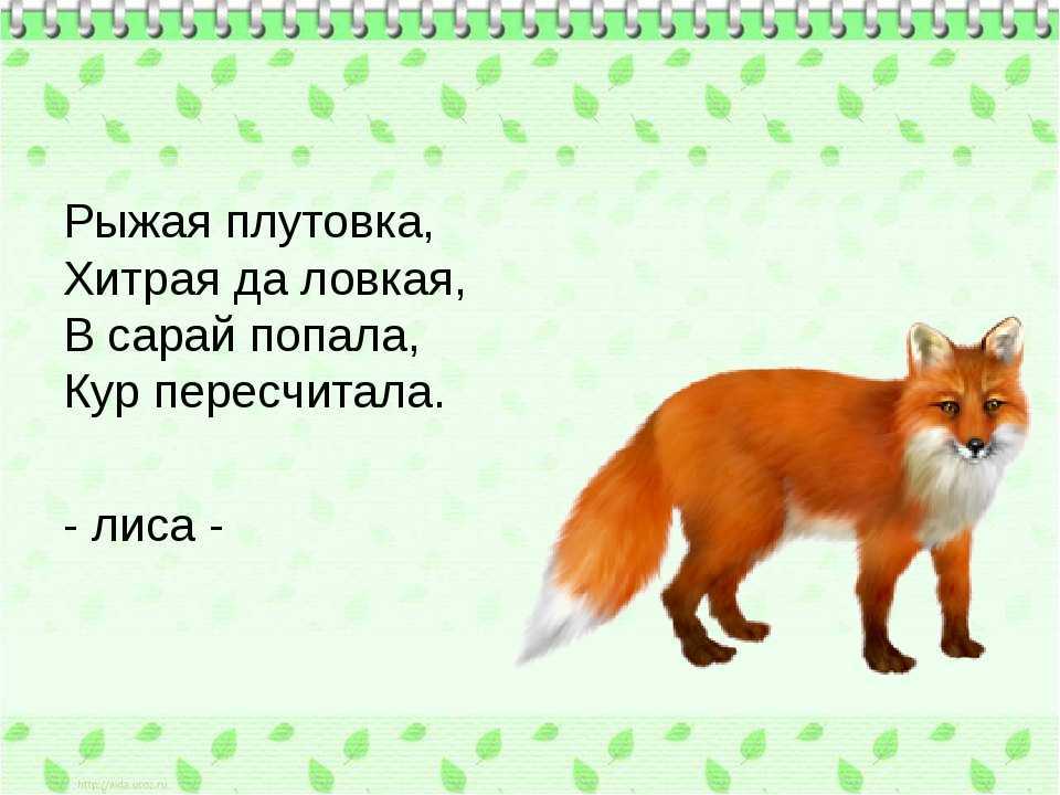 Стишок про лису для детей 3 лет, стихи про лисичку смешные
