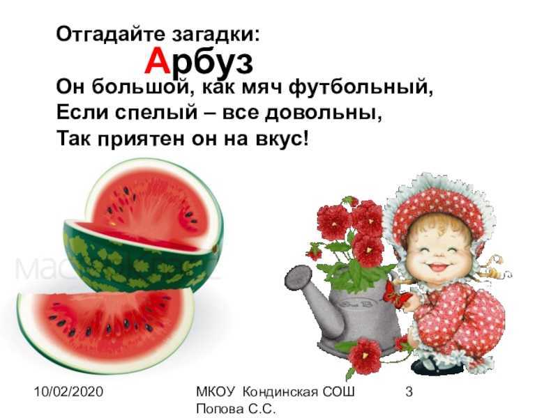 Загадки про овощи с ответами: большая подборка для детей из 150 загадок, простых и сложных / mama66.ru