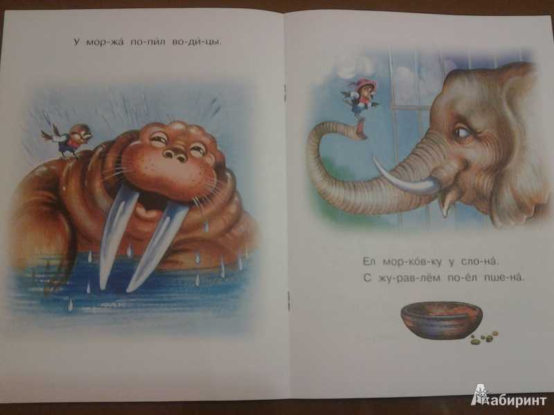 Слон и воробей восточная сказка читать онлайн текст