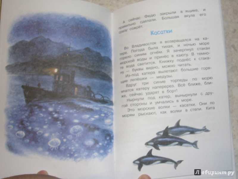 Геннадий снегирев: чудесная лодка (рассказы)