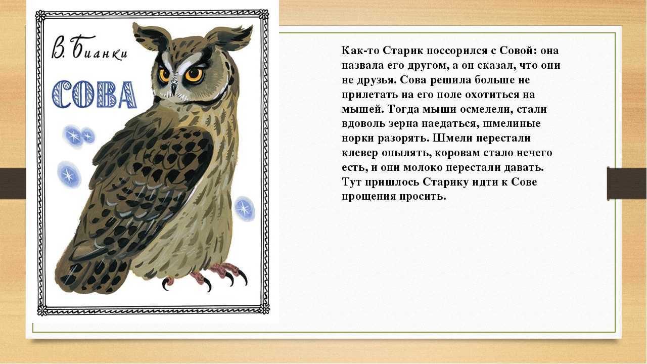 Читательский дневник по сказке «сова» виталия бианки