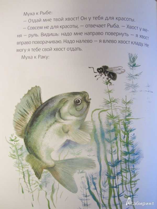 Бианки в.в. — хвосты  развивайка