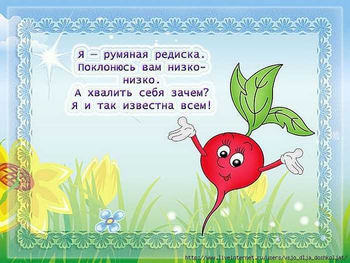 Прикольные стихи про овощи • «поздравления & пожелания» на все случаи