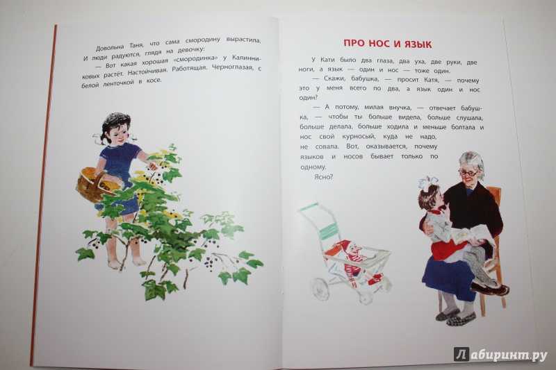 Книга  - волшебные краски