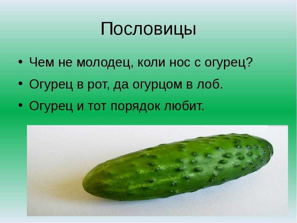 Загадки про овощи и фрукты для детей с ответами. загадки для детей в стихах с ответами. стихи загадки для дошкольников