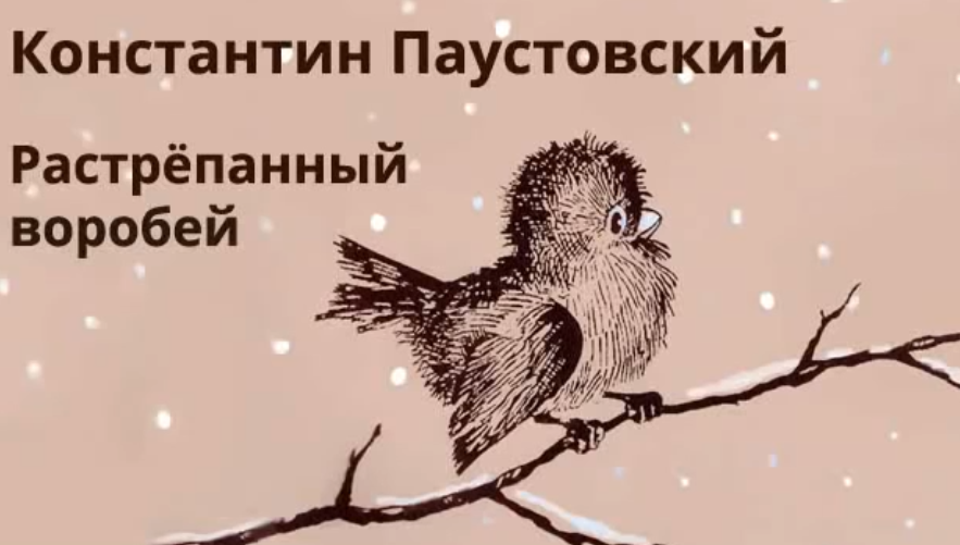Растрепанный воробей — рассказ константина паустовского
