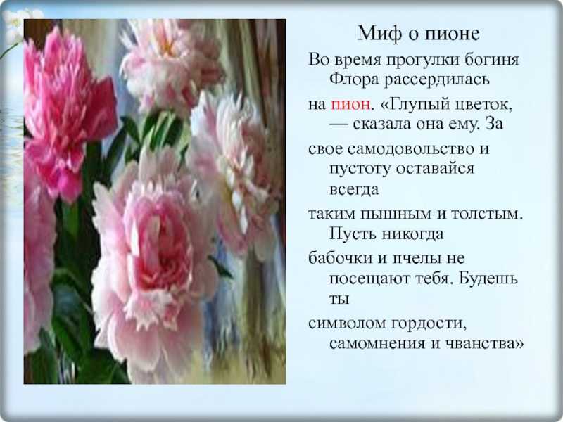 Цитаты про цветы: цветочные афоризмы, статусы и фразы