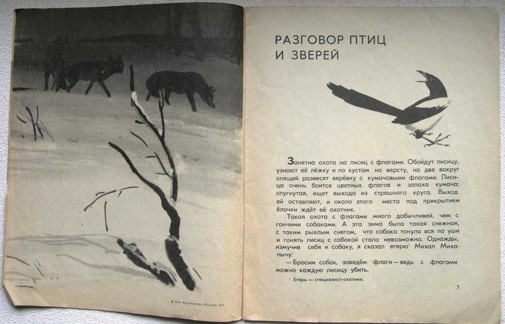 Детские сказки читать онлайн - детские сказки разговор птиц и зверей михаил пришвин читать детские рассказы онлайн