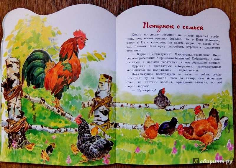 Восточные сказки