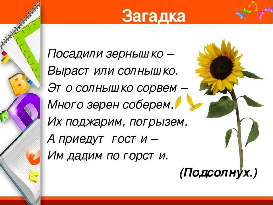 Загадки про сад и огород с ответами для 2-3 класса