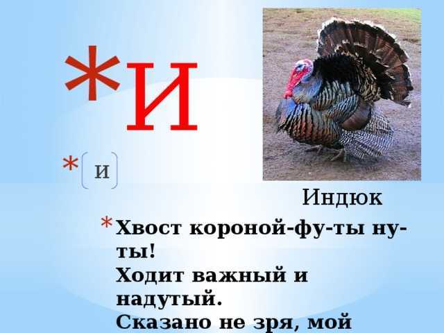 Загадки с подвохом для детей 6-7 лет с ответами – наумёнок