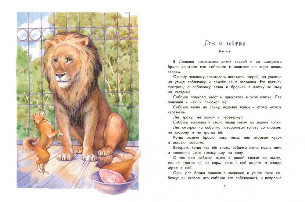 Лев николаевич толстой волк и коза. анализ басни «волк, коза и козленок»