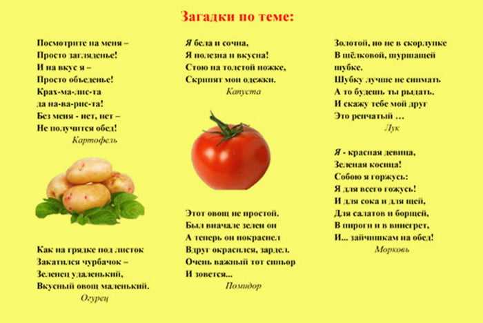 Загадки про картофель (картошку) для детей