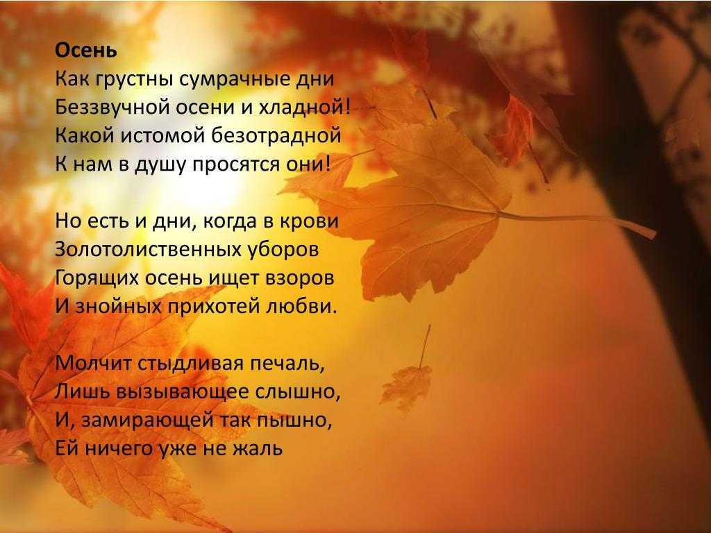 Современные стихи про осень - сборник красивых стихов в доме солнца