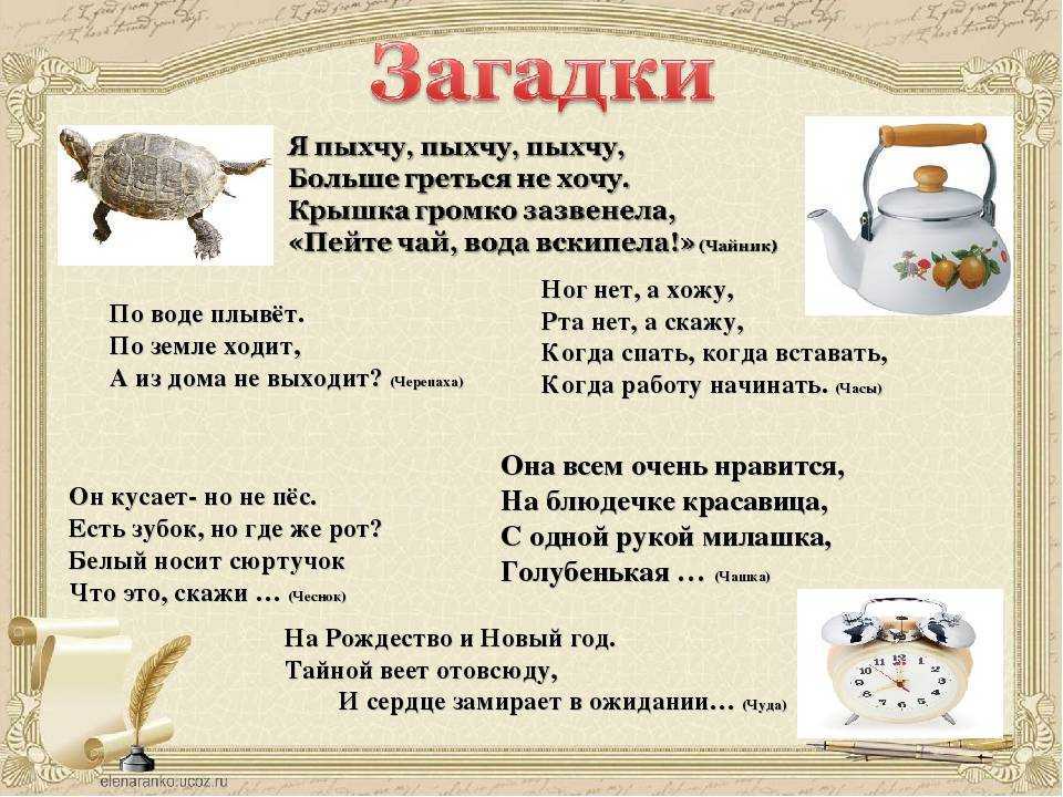 Загадки про животных с ответами | для детей, сложные