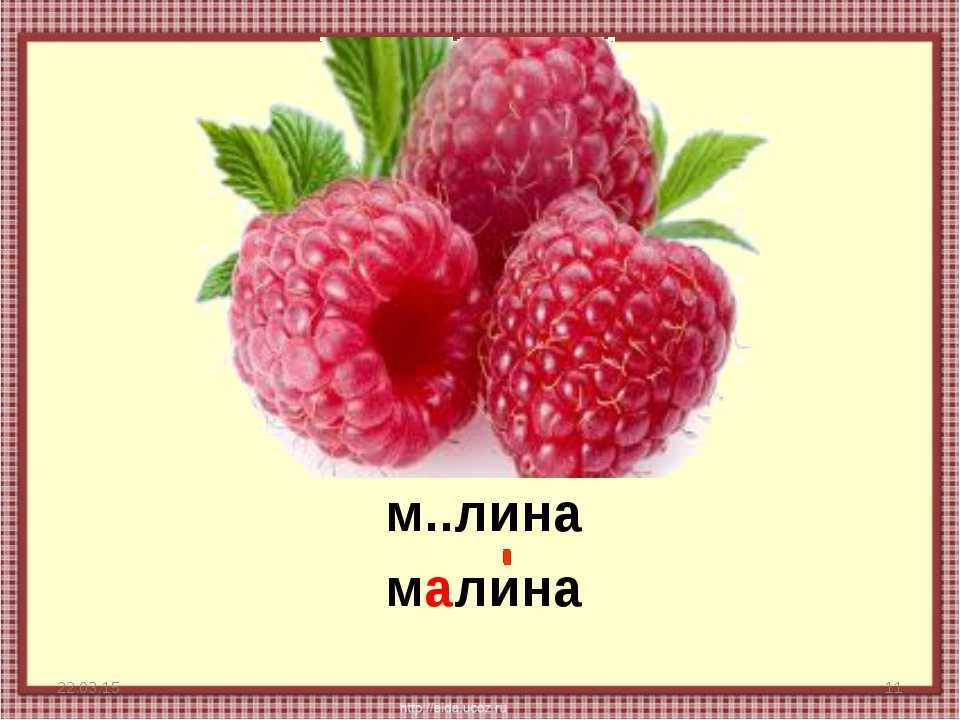 Загадки про ягоды — блог милы