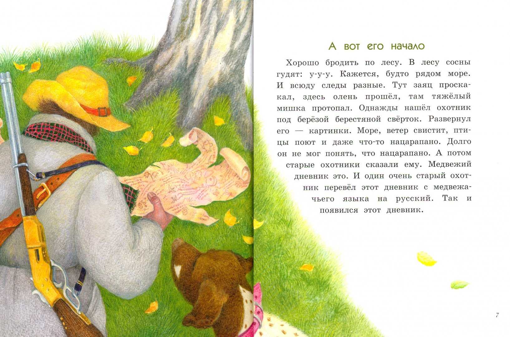 Про цыплёнка, солнце и медвежонка: дневник медвежонка - сказки цыферова: читать с картинками, иллюстрациями - сказка dy9.ru