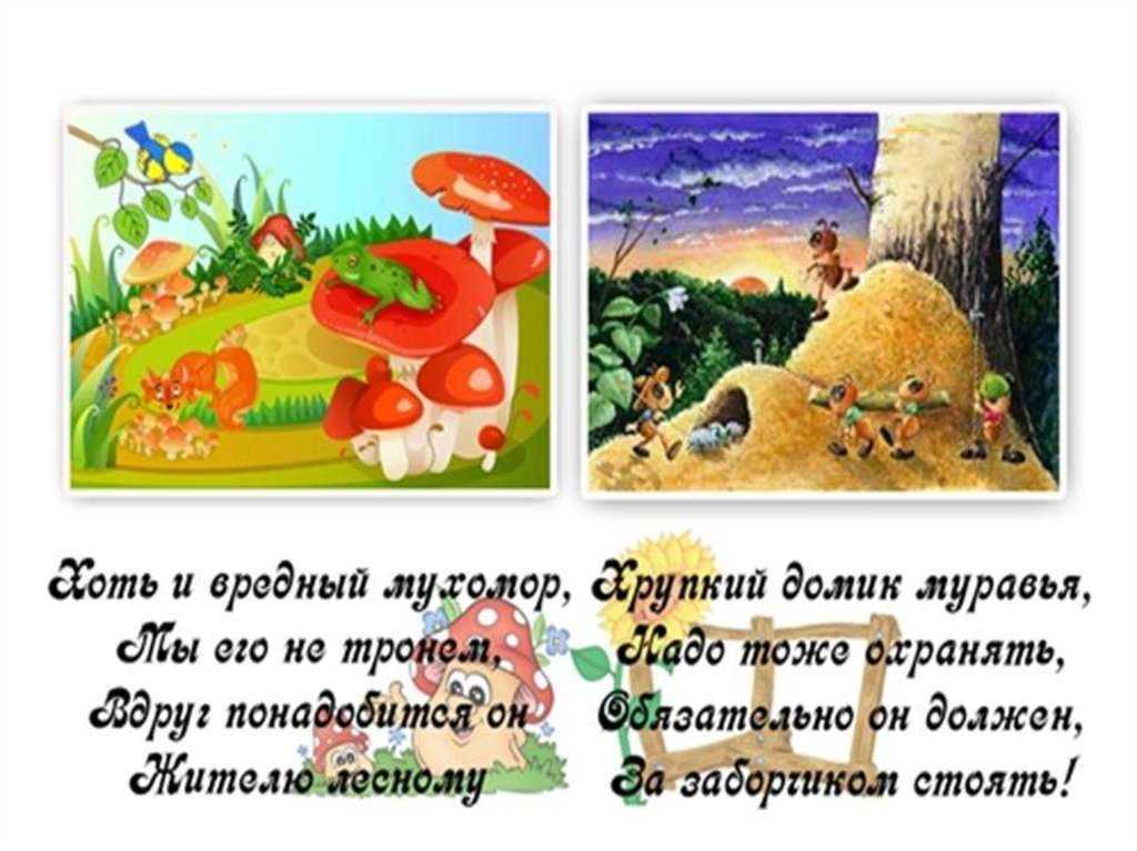 Стихи про экологию