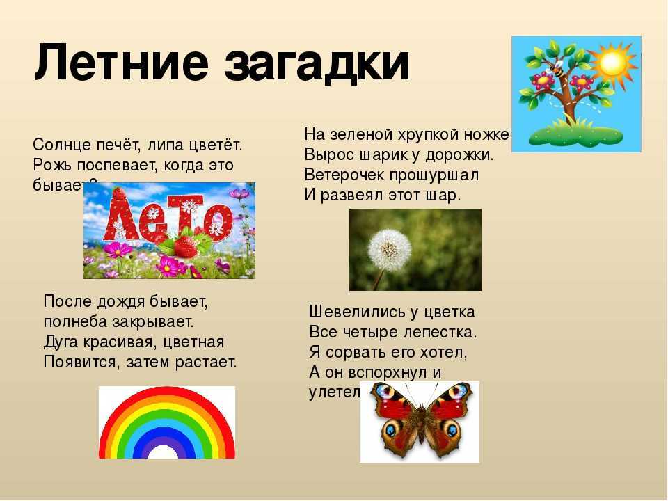 Десткие загадки про лето - 50 отличных загадок для детей о лете
загадки на тему лето для детей — 50 загадок — детский развивающий сайт "xkid"