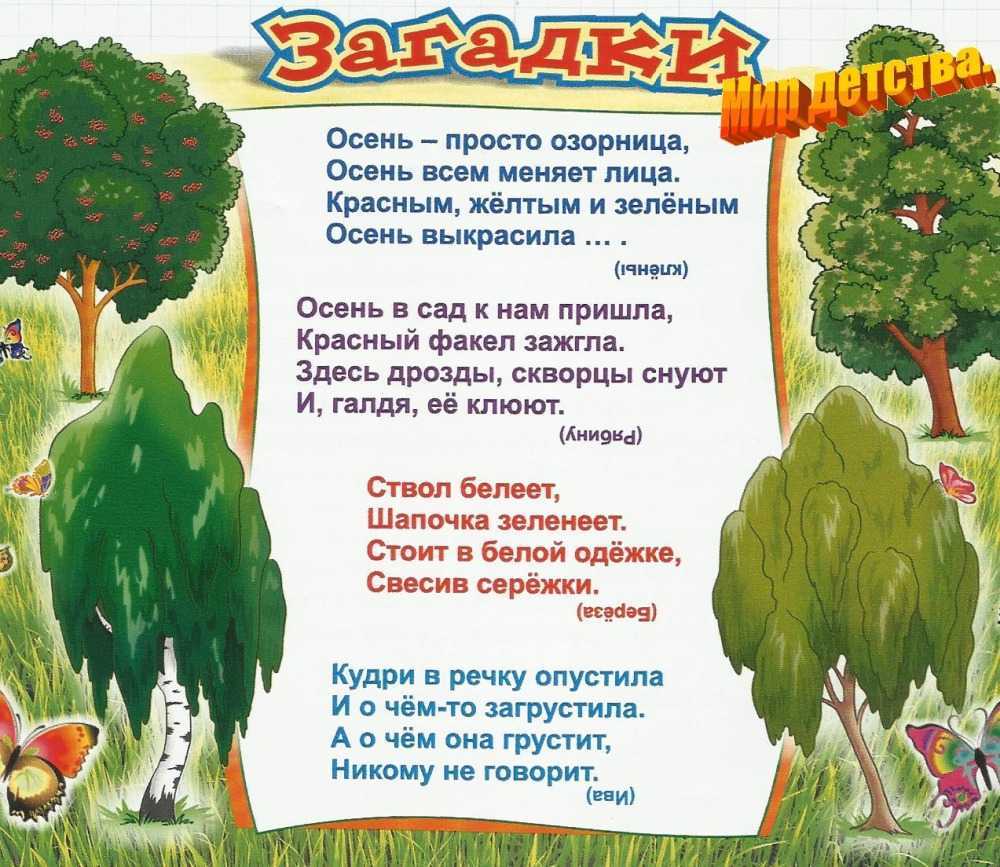 Загадки про деревьях для детей с ответами