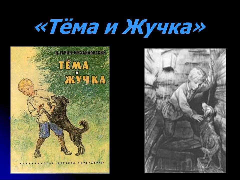 Читательский дневник «тёма и жучка» николая гарина-михайловского