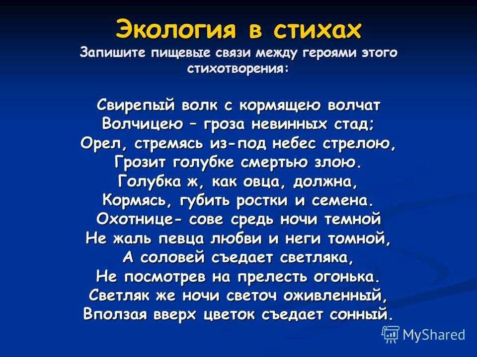 Мусорная фантазия