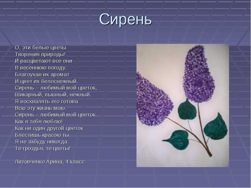 Загадки для детей 5-6-7 лет с ответами