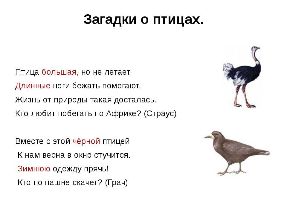 Загадки о весне для детей 6-7 лет с ответами - педагог