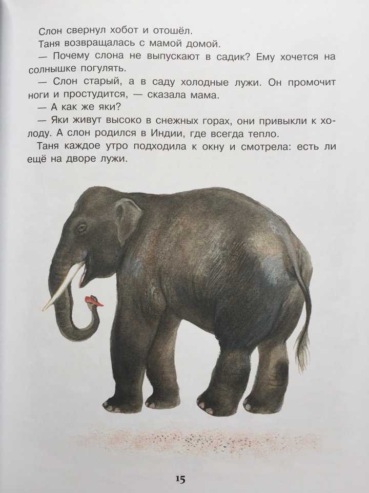Геннадий снегирев рассказы о природе читать. г.я.снегирёв