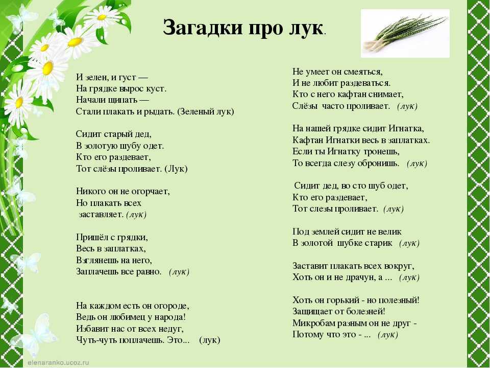 Что растет в саду, на грядке? загадки про овощи и фрукты