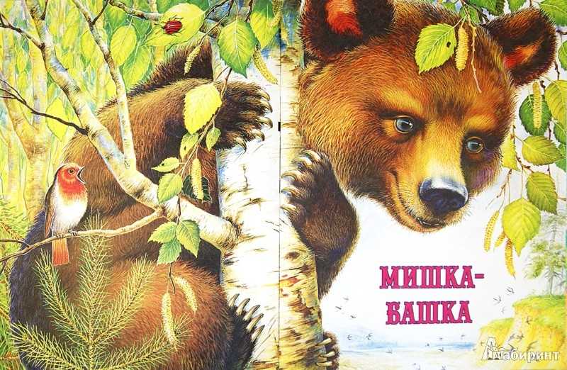 Лада пришвин краткое содержание