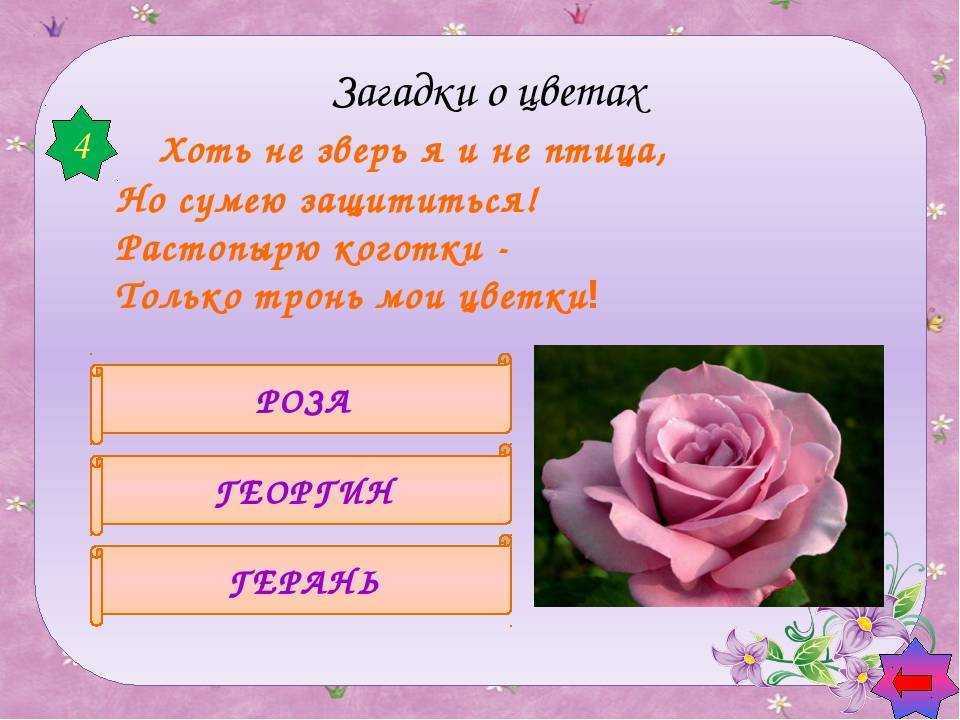 Все о детях, все для родителей