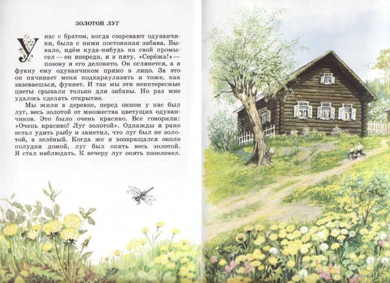 Читательский дневник «золотой луг» михаила пришвина