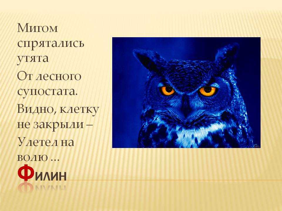 Загадки про птиц для детей 6-7 лет с ответами
