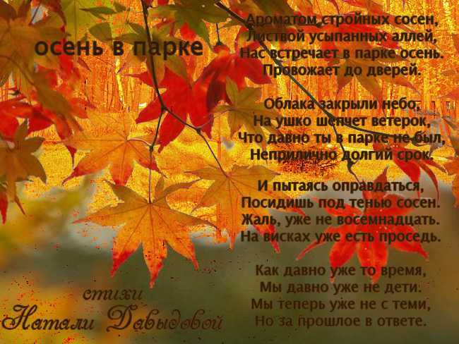 «осень – это сны листопада»: подборка цитат и высказываний о золотом времени года