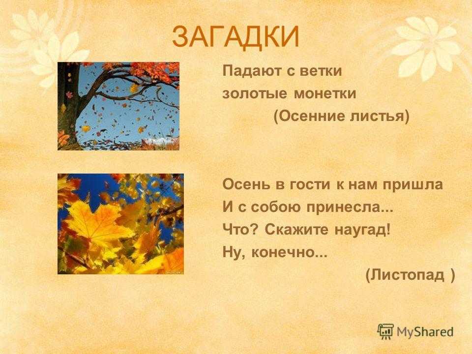 Загадки про листья и листопад для детей с ответами: 40 развивающих загадок для малышей и школьников 1, 2, 3 класса / mama66.ru